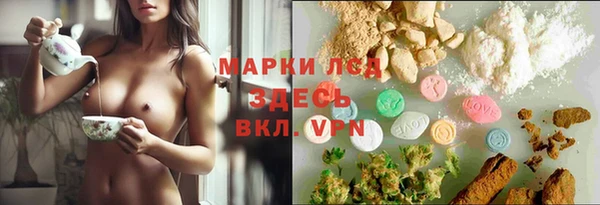 ПСИЛОЦИБИНОВЫЕ ГРИБЫ Баксан
