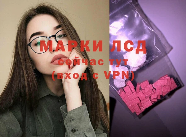 ПСИЛОЦИБИНОВЫЕ ГРИБЫ Баксан