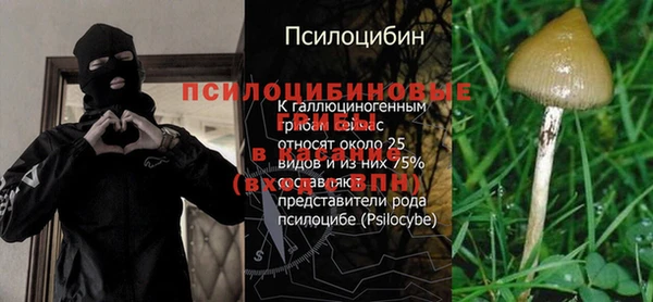 прущие крисы Балахна