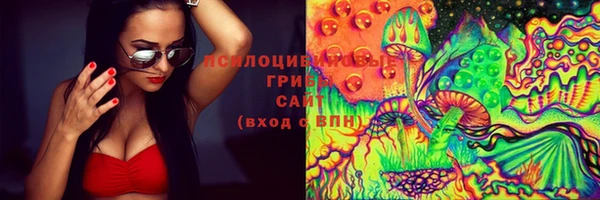 прущие крисы Балахна