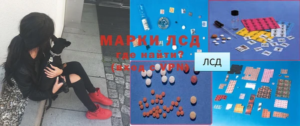 ПСИЛОЦИБИНОВЫЕ ГРИБЫ Баксан