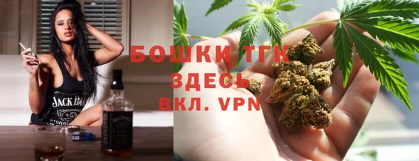 ПСИЛОЦИБИНОВЫЕ ГРИБЫ Баксан